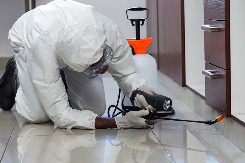 Fumigation & Pest Control Services in Uganda
